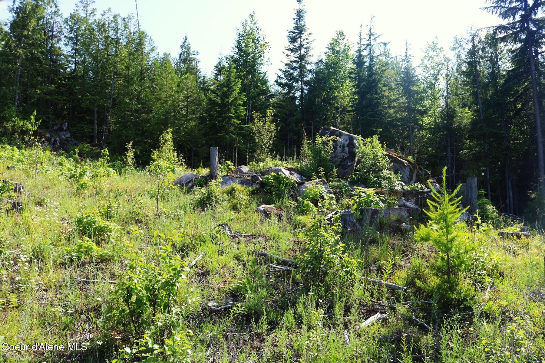 Nka Slippery Slope Trail Priest River, ID 83856 - Photo 9 of 16 Neat Boulders