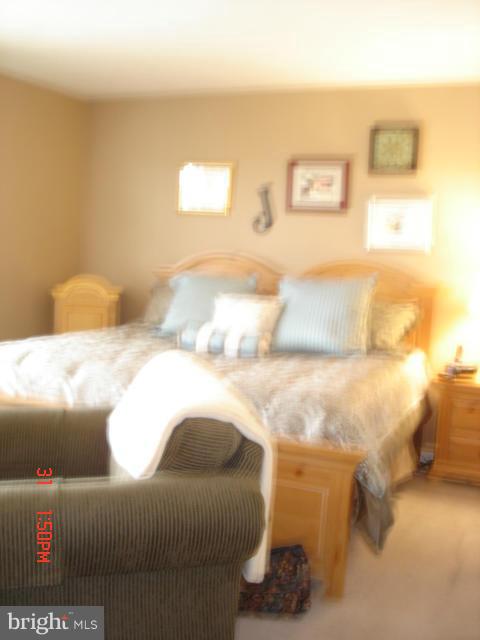 1173 Larkspur Road Westminster, MD 21157 - Photo 3 of 30 Bedroom (Master)