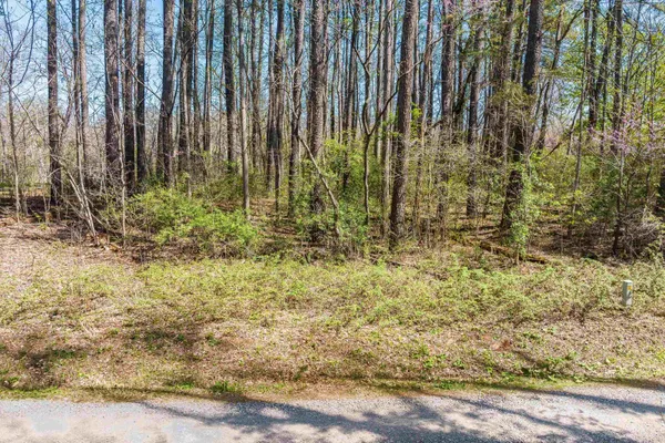 $99,900 | Tbd Shipyard Road, Shenandoah, VA 22849