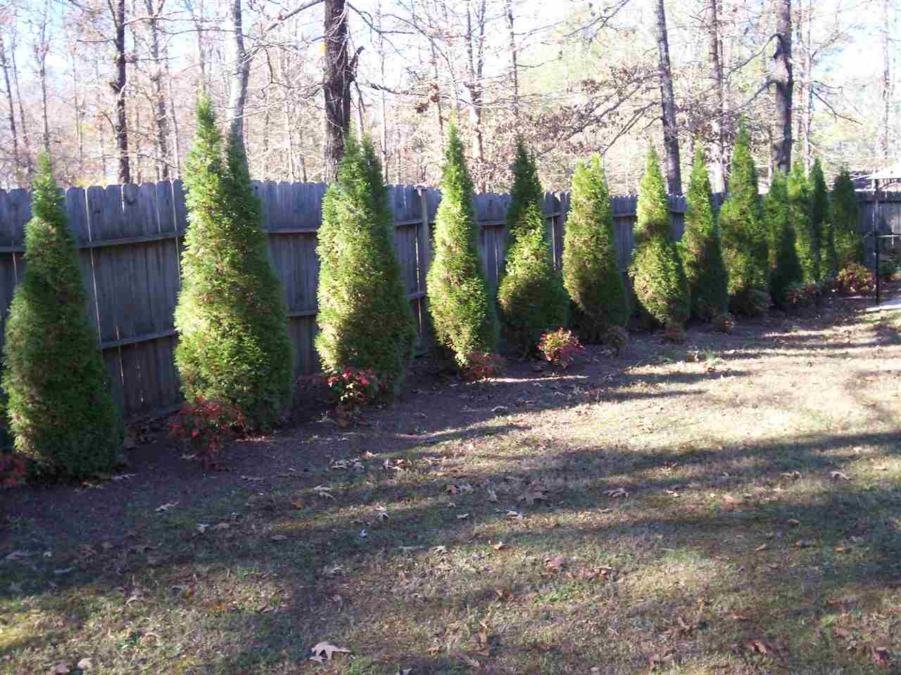 145 Red Bird Road Middleton, TN 38052 - Photo 14 of 24 Gallery Image 14