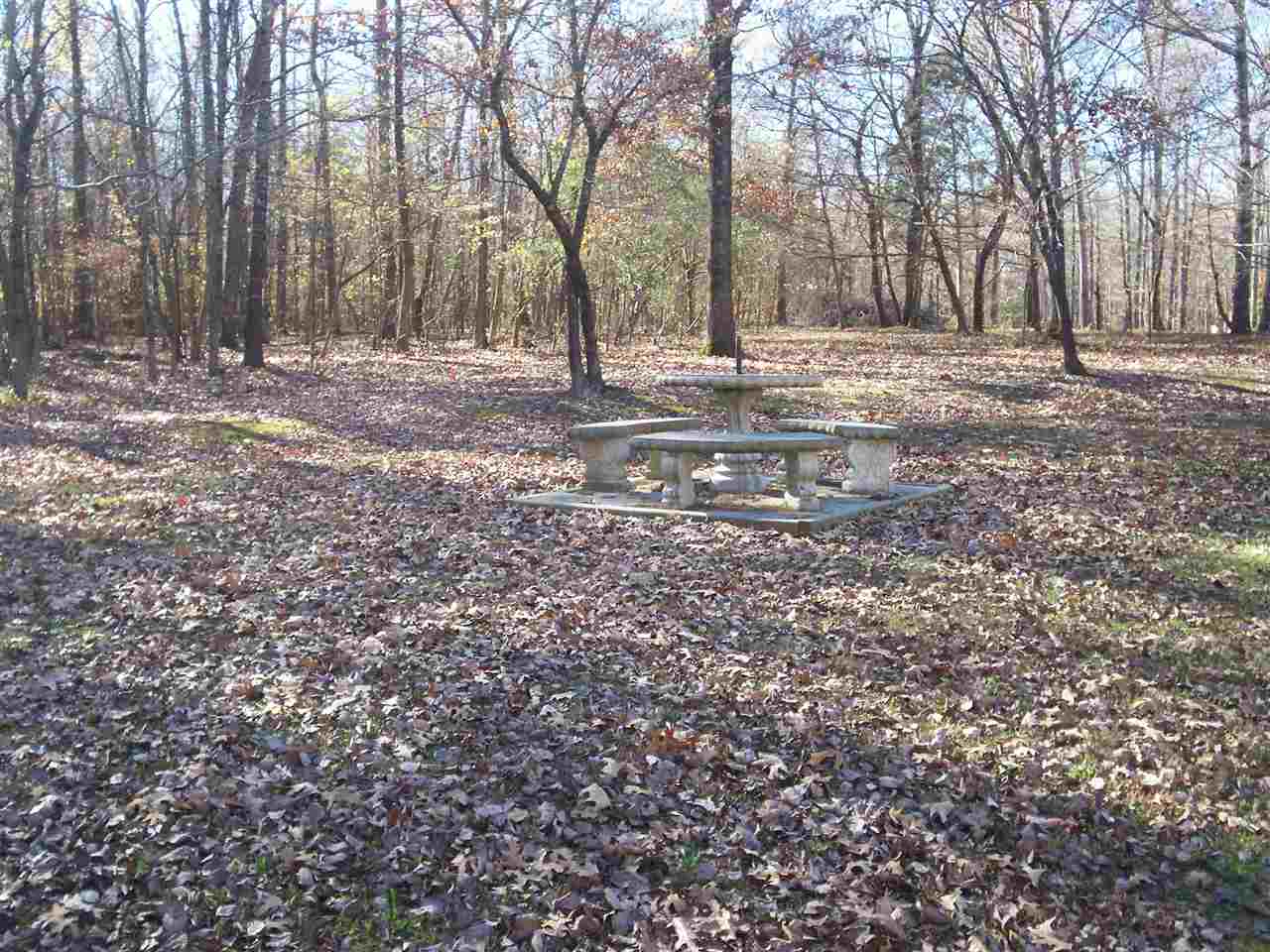 145 Red Bird Road Middleton, TN 38052 - Photo 18 of 24 Gallery Image 18
