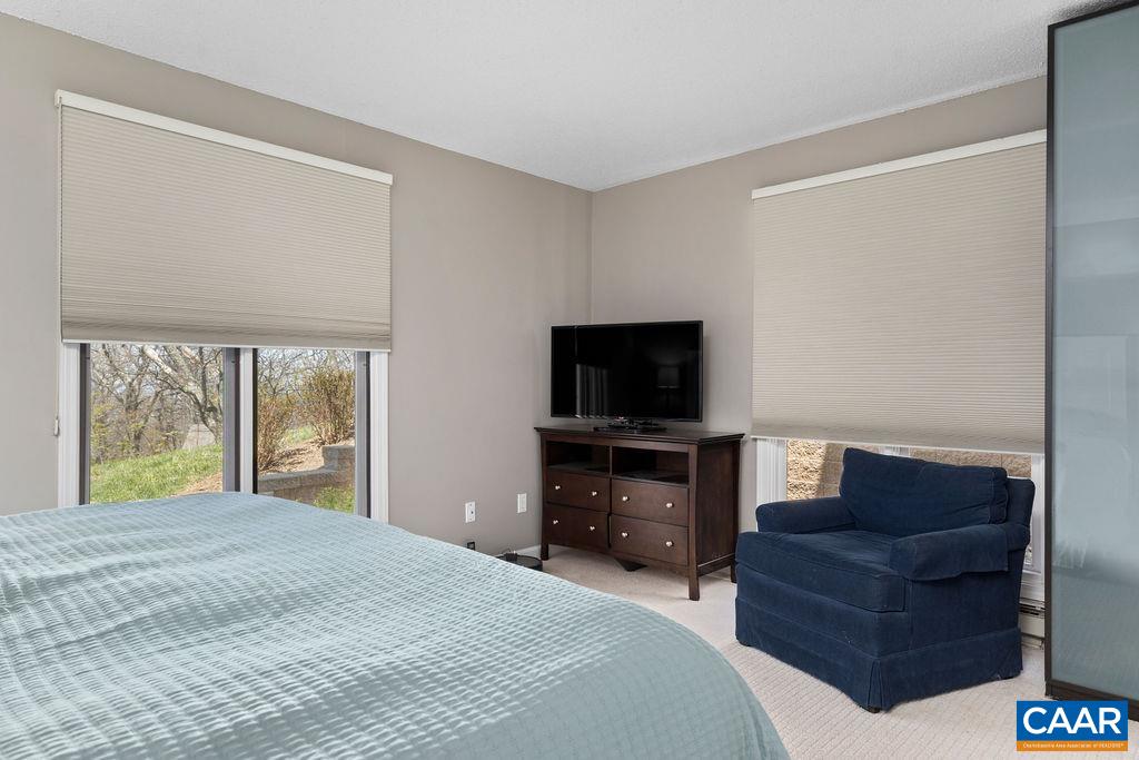 2070 Stone Ridge Wintergreen, VA 22967 - Photo 17 of 52 a bedroom with a bed and a television