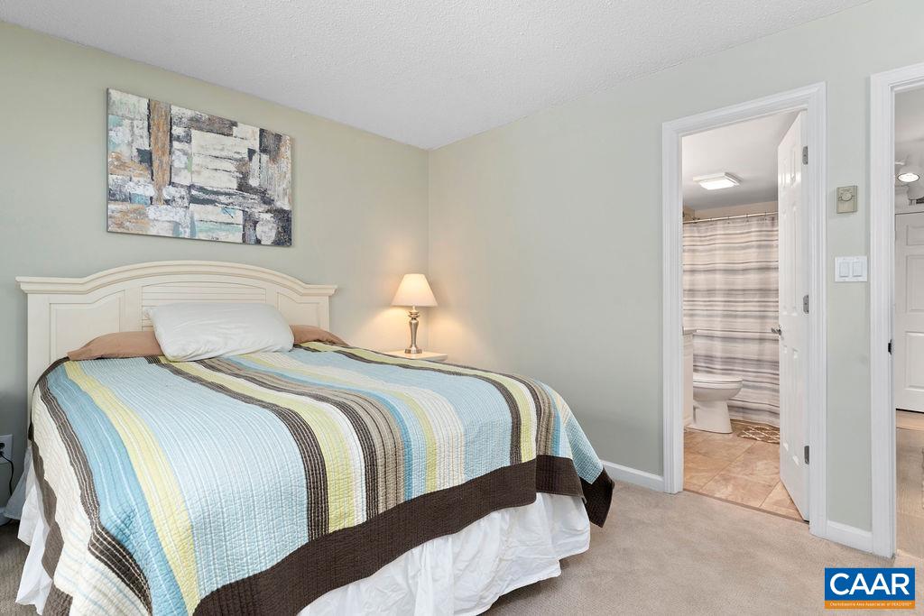 2070 Stone Ridge Wintergreen, VA 22967 - Photo 22 of 52 a bedroom with a bed and painting on the wall