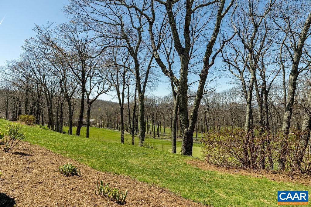 2070 Stone Ridge Wintergreen, VA 22967 - Photo 3 of 52 a view of a park with large trees