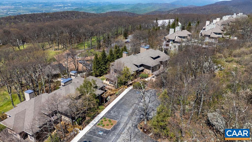 2070 Stone Ridge Wintergreen, VA 22967 - Photo 51 of 52