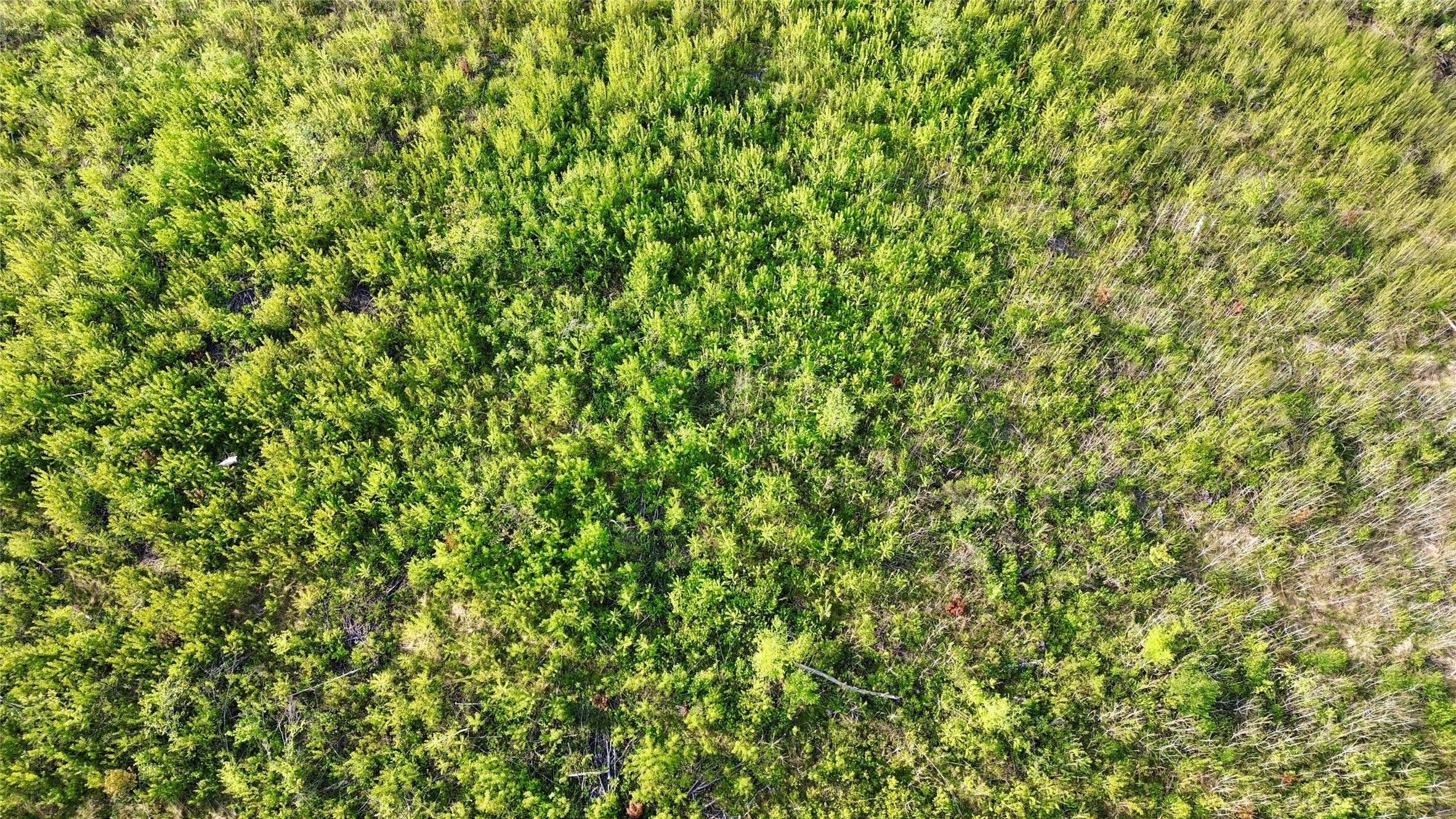 Lot 2 Girod Road Ladysmith, WI 54848 - Photo 18 of 26