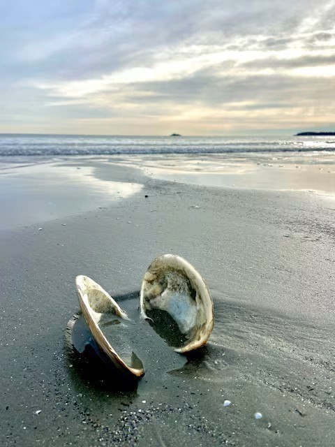 164 Wilson Road, Unit 2 Nahant, MA 01908 - Photo 7 of 8