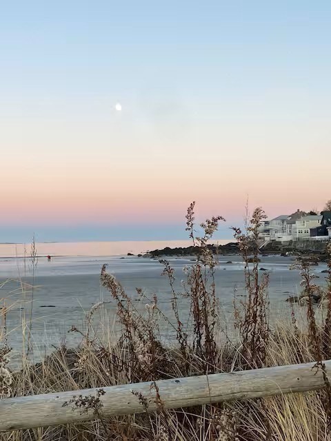 164 Wilson Road, Unit 2 Nahant, MA 01908 - Photo 8 of 8