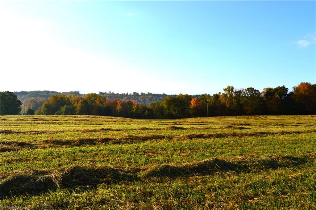 267 Quaqua Creek Road, Unit SOUTH Ruffin, NC 27326 - Photo 2 of 49