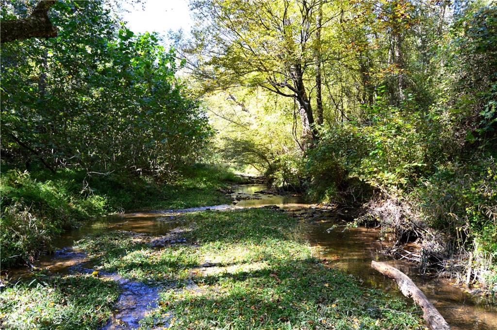 267 Quaqua Creek Road, Unit SOUTH Ruffin, NC 27326 - Photo 33 of 49