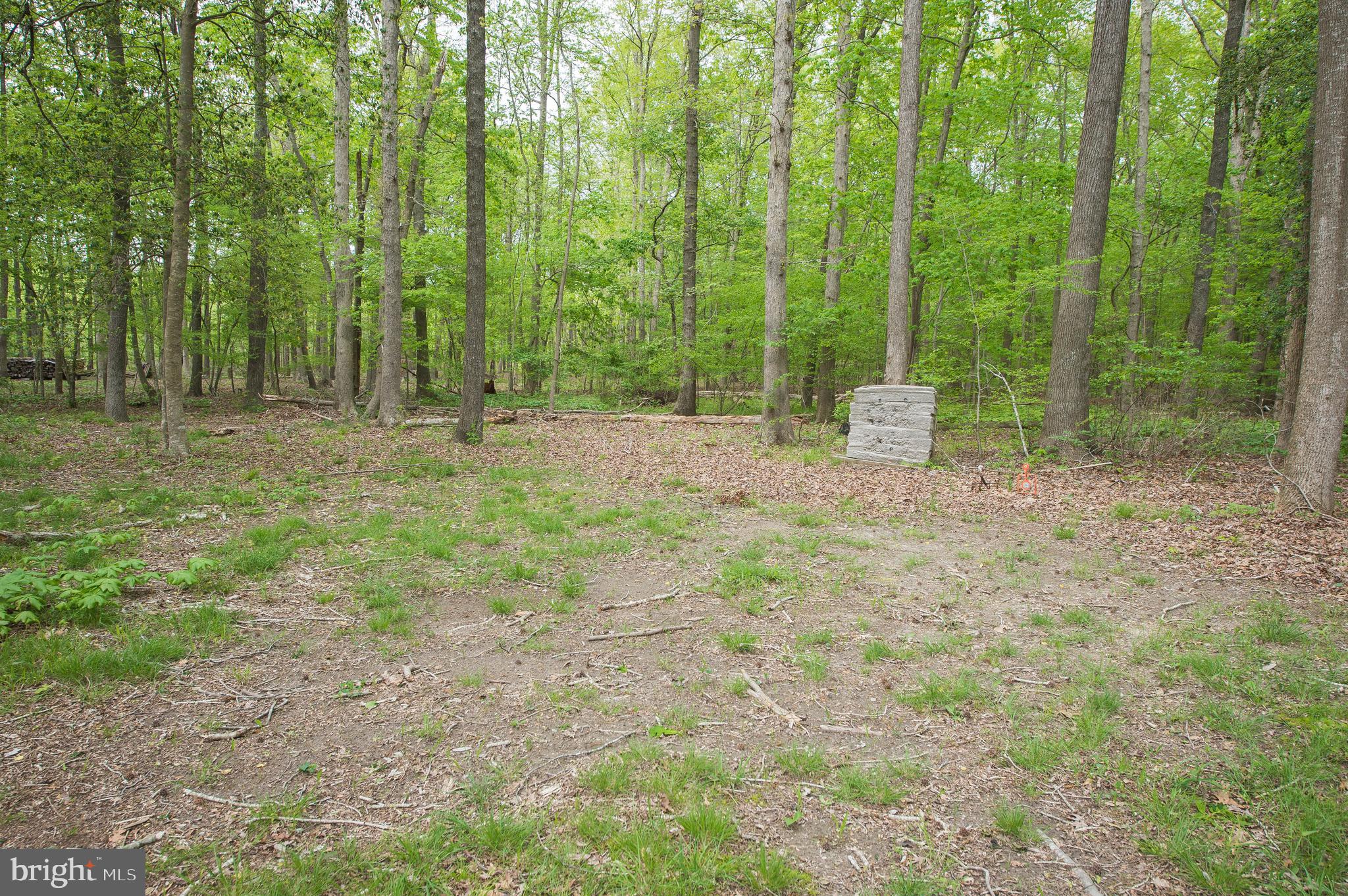 6516 Bowden Road Newark, MD 21841 - Photo 52 of 56 Gallery Image 52
