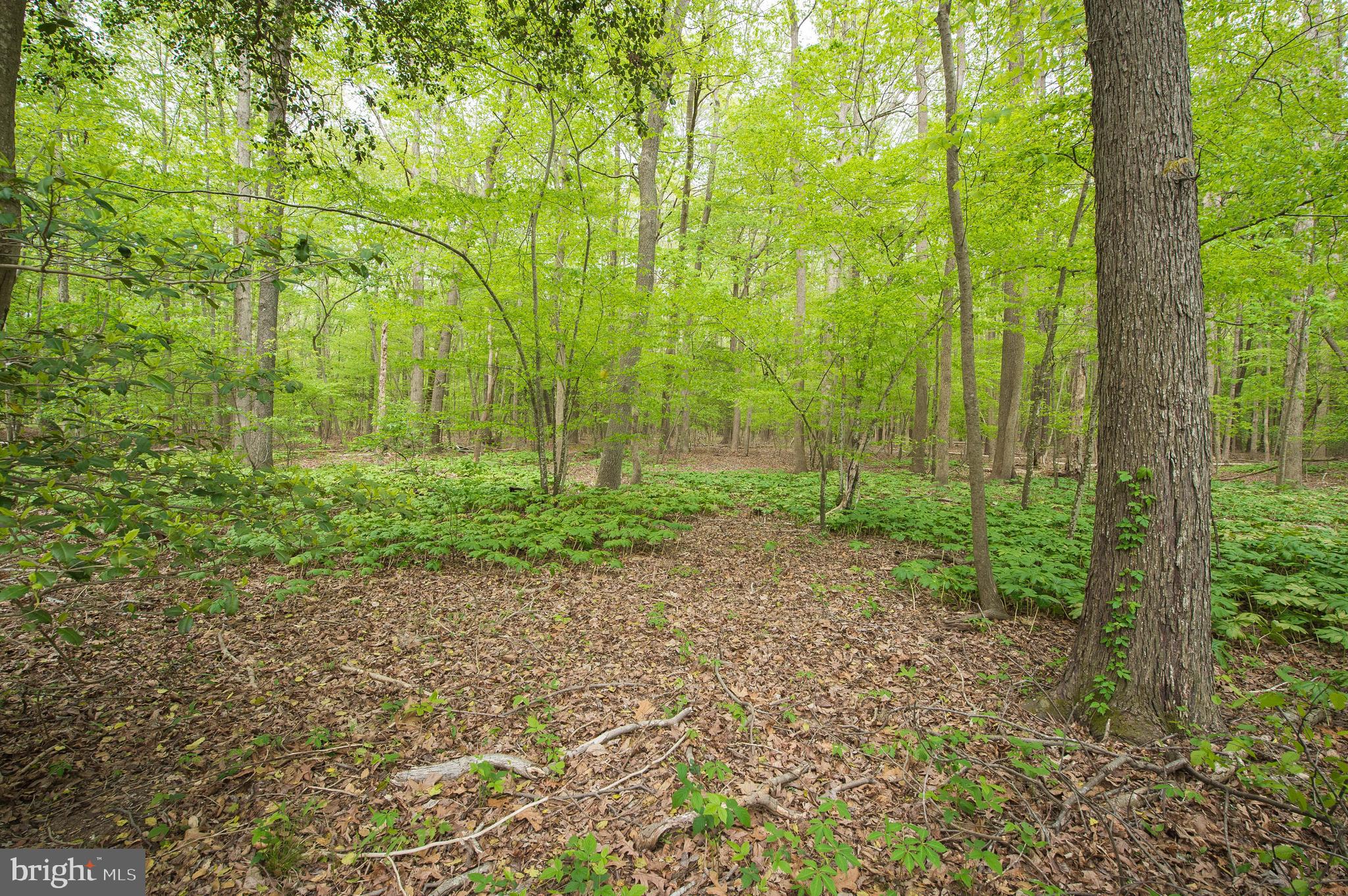 6516 Bowden Road Newark, MD 21841 - Photo 53 of 56 Gallery Image 53