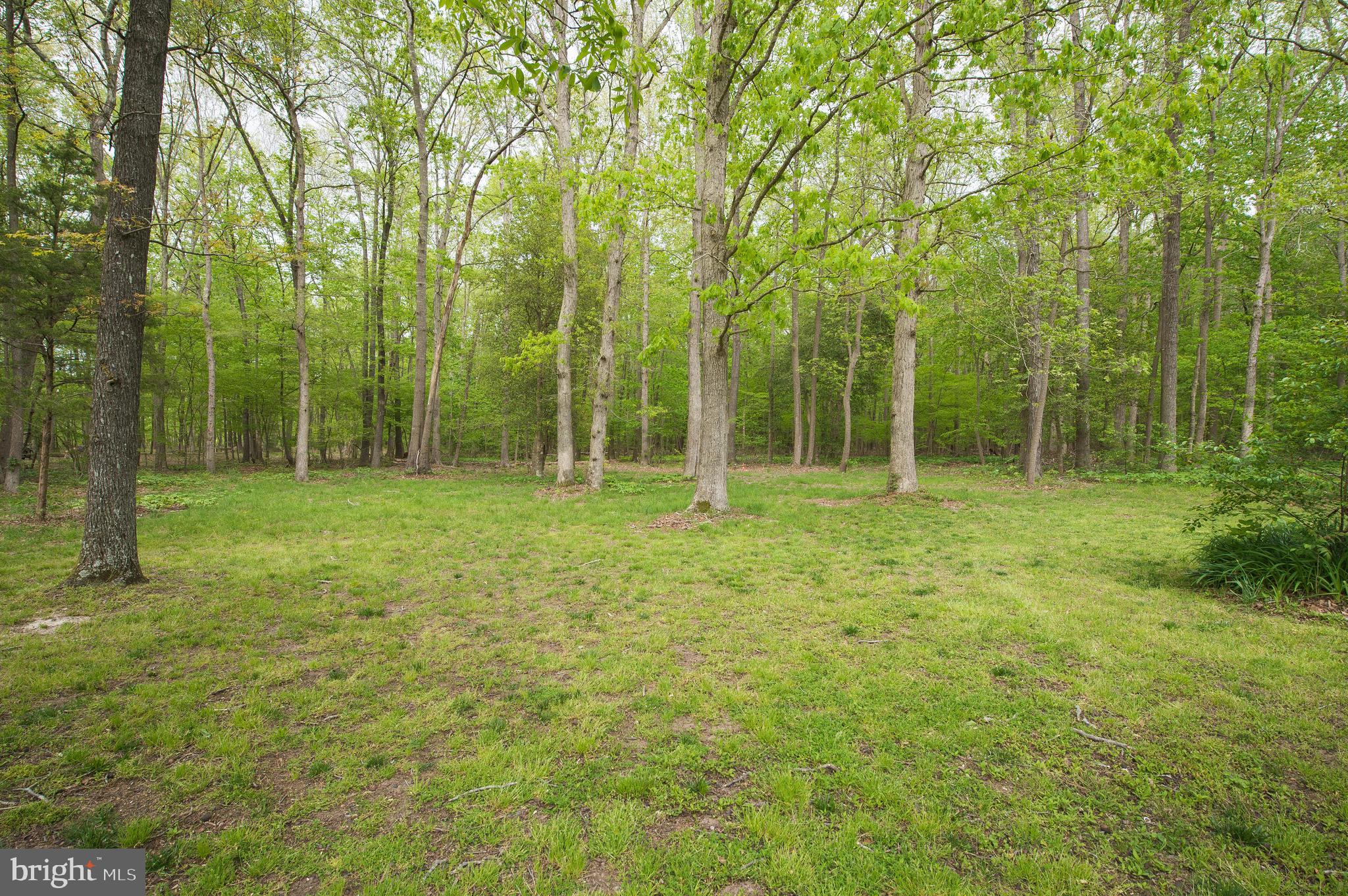 6516 Bowden Road Newark, MD 21841 - Photo 54 of 56 Gallery Image 54