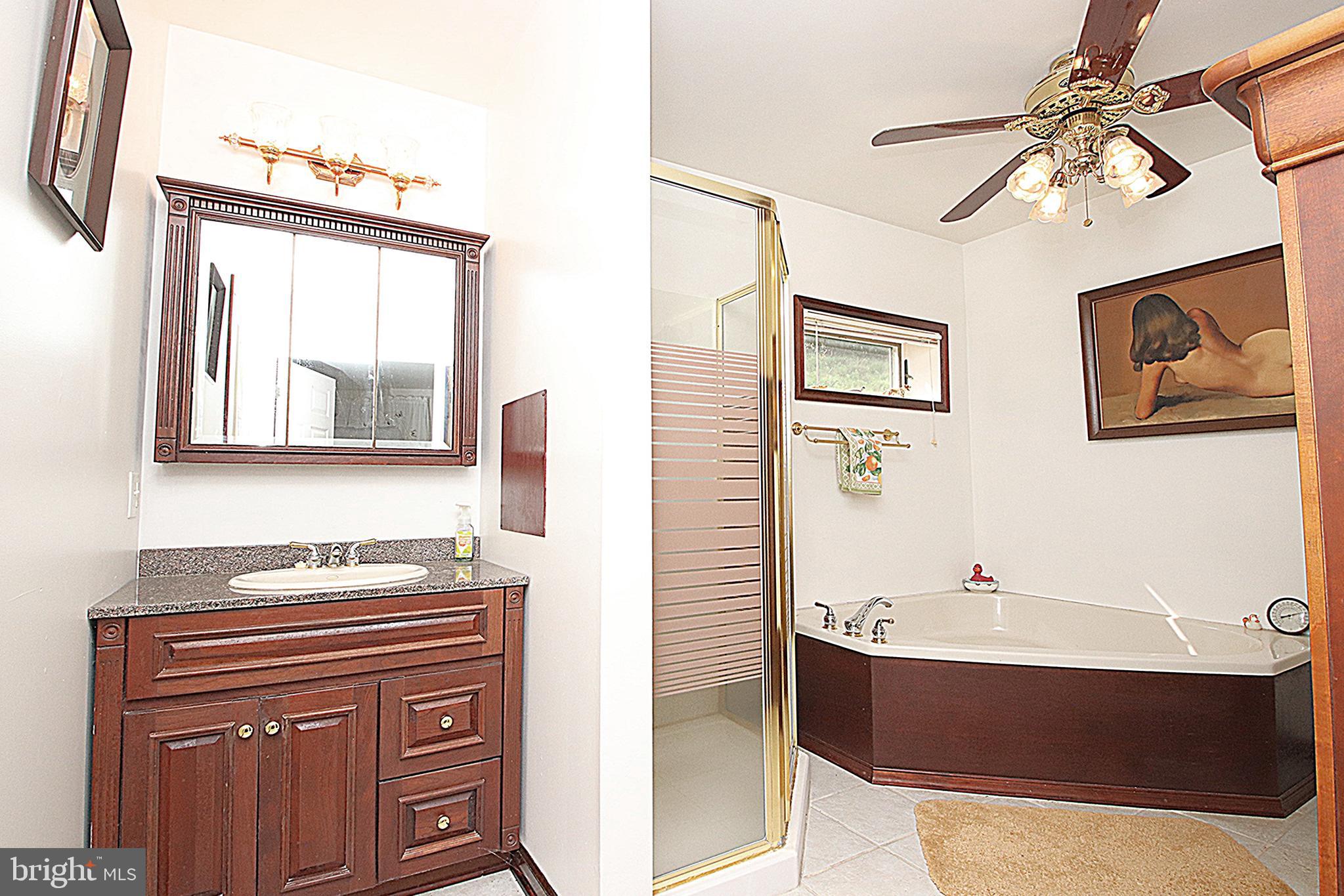 1141 Weverton Road Knoxville, MD 21758 - Photo 13 of 28 Bathroom