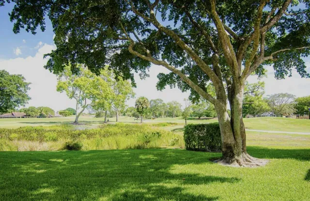 a view of a lake with a big yard