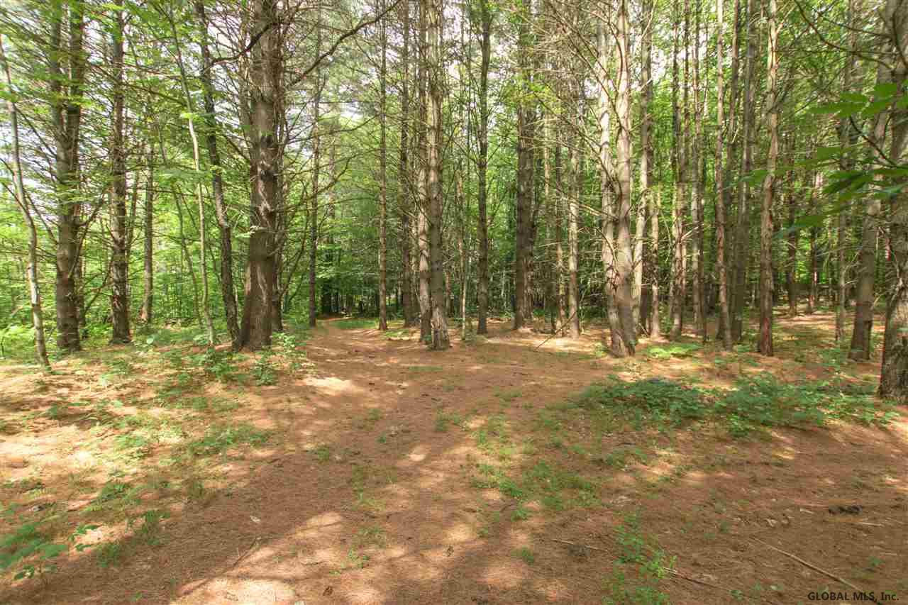 2651 Benson Road Benson, NY 12134 - Photo 22 of 25 Photo 22