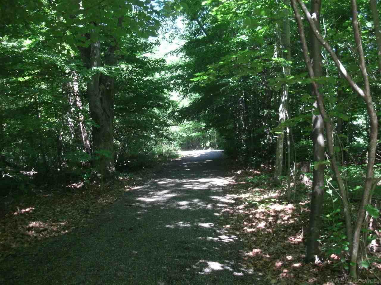 0 North Wilder Road Lapeer, MI 48446 - Photo 5 of 12