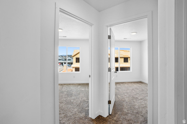 2194 Wolverine Way, Unit 2531 Washington, UT 84780 - Photo 17 of 52 Carpeted rooms with white walls and trim, each featuring a window