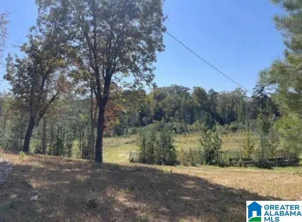 $119,900 | Hill Creek Drive, West Blocton, AL 35184