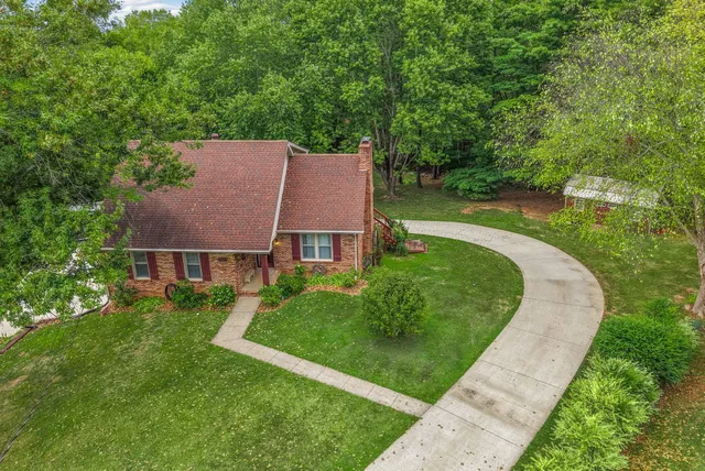a view of a yard with potted plants