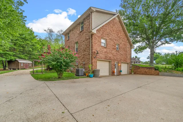 a view of a yard with a tree