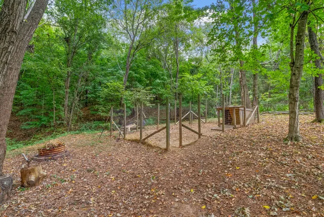 a view of a yard with tree s