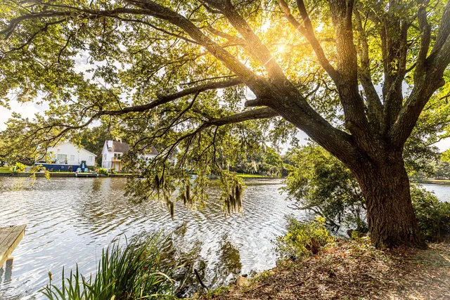 $885,000 | 713 Lake Frances Drive, Charleston, SC 29412
