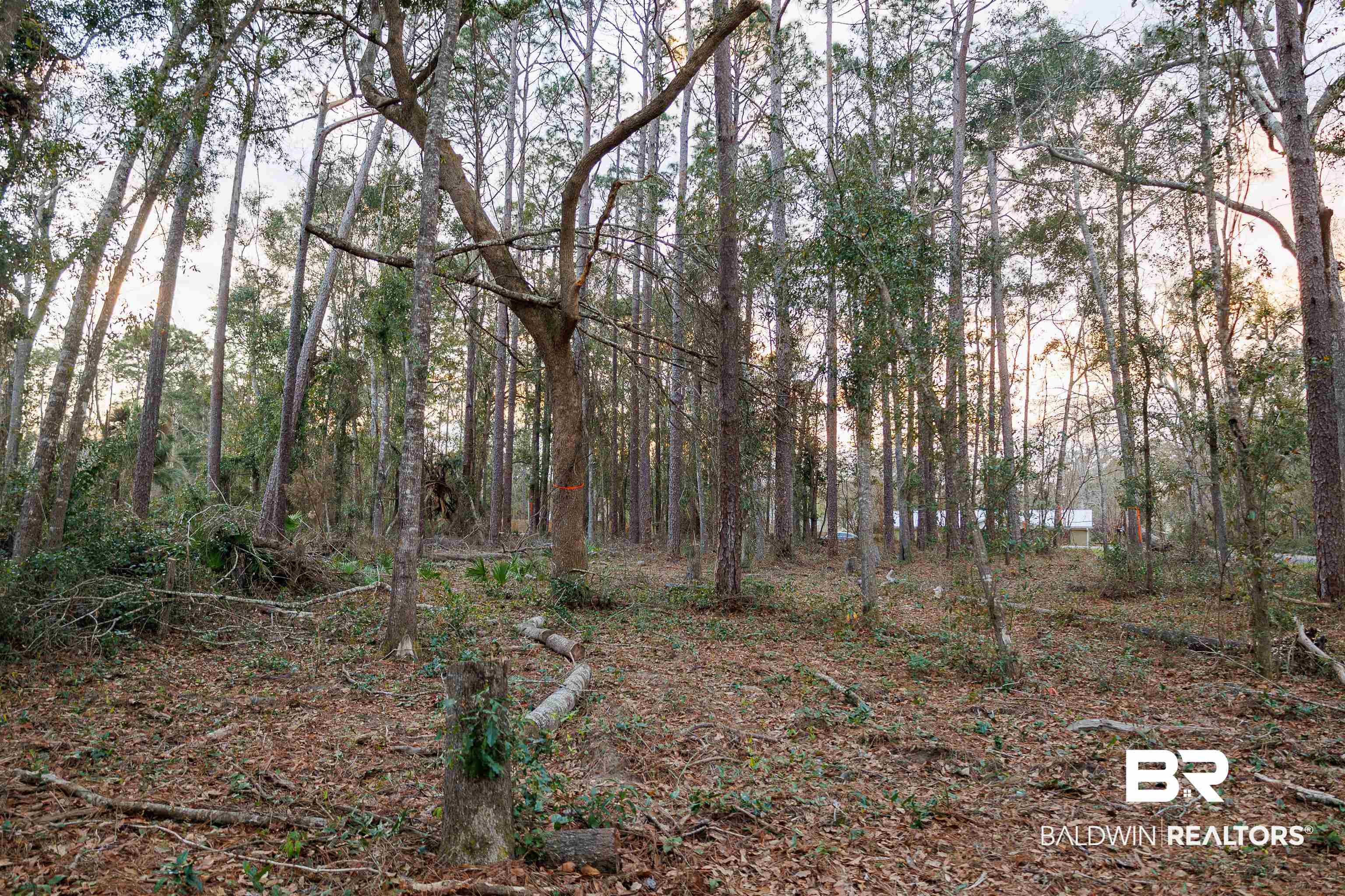 22622 Pineview Lane Foley, AL 36535 - Photo 11 of 11