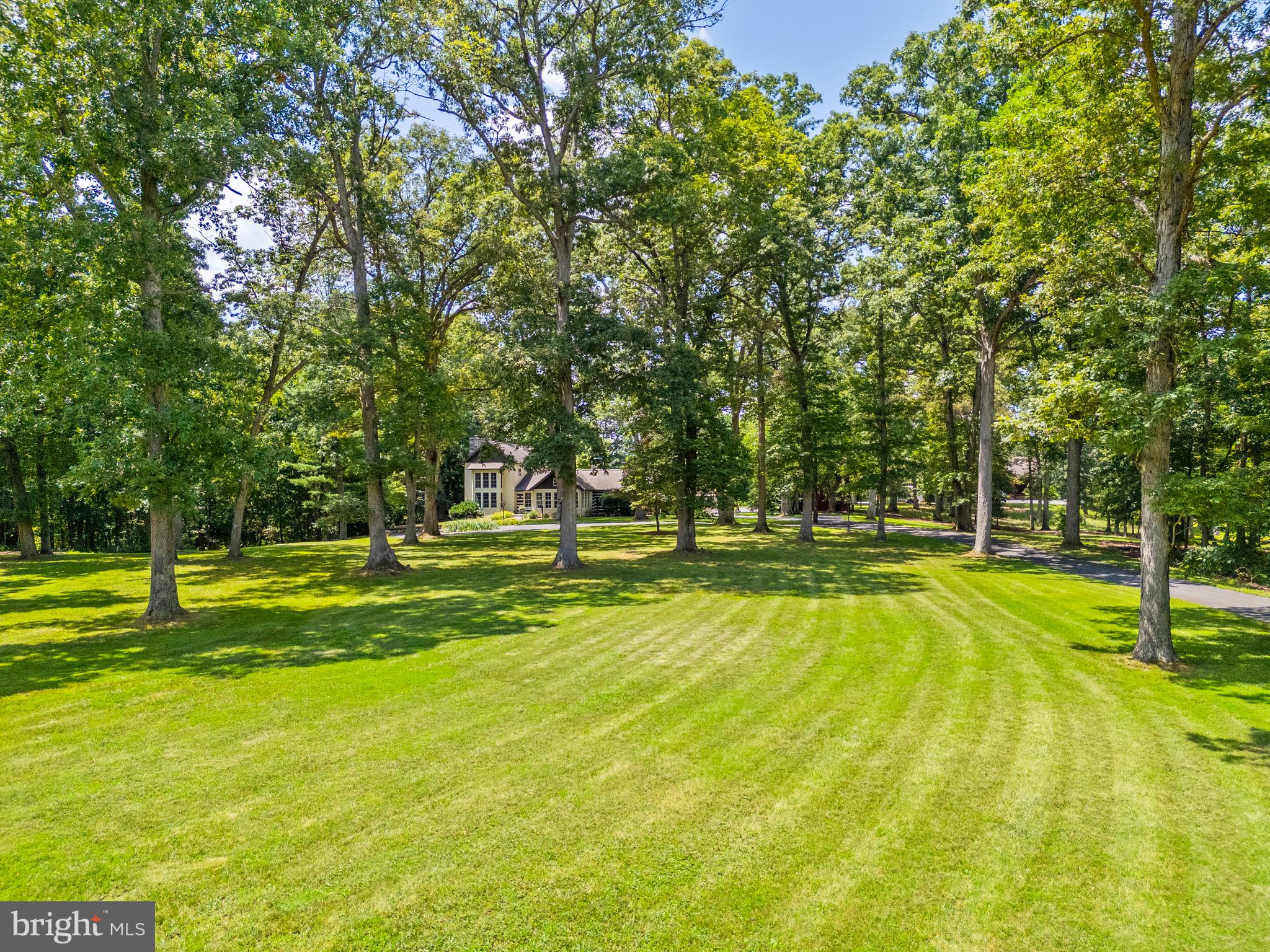 97 Tilthammer Mill Road Boyce, VA 22620 - Photo 3 of 68 a view of a swimming pool with a yard and large trees