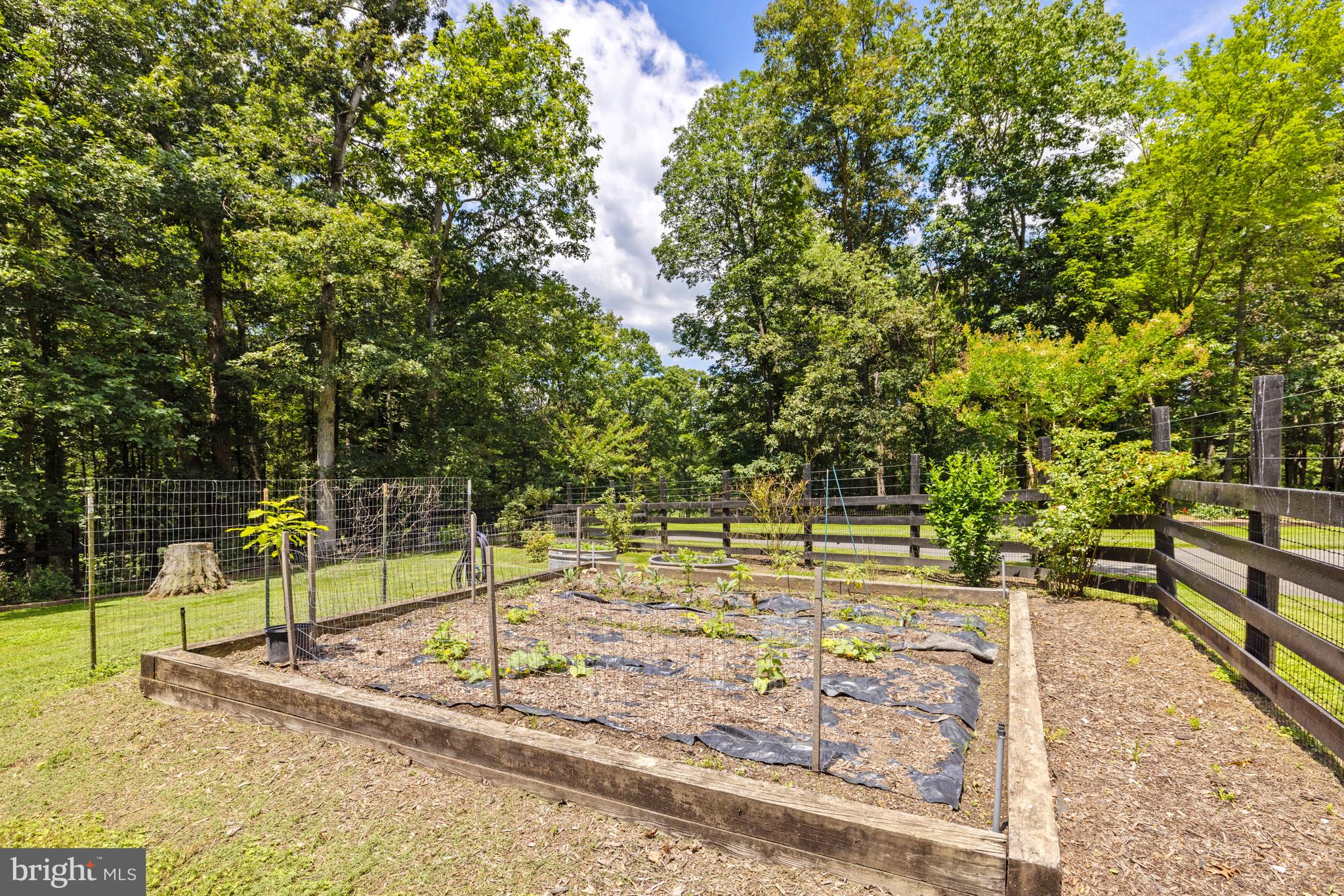 97 Tilthammer Mill Road Boyce, VA 22620 - Photo 34 of 68 Enclosed vegetable garden