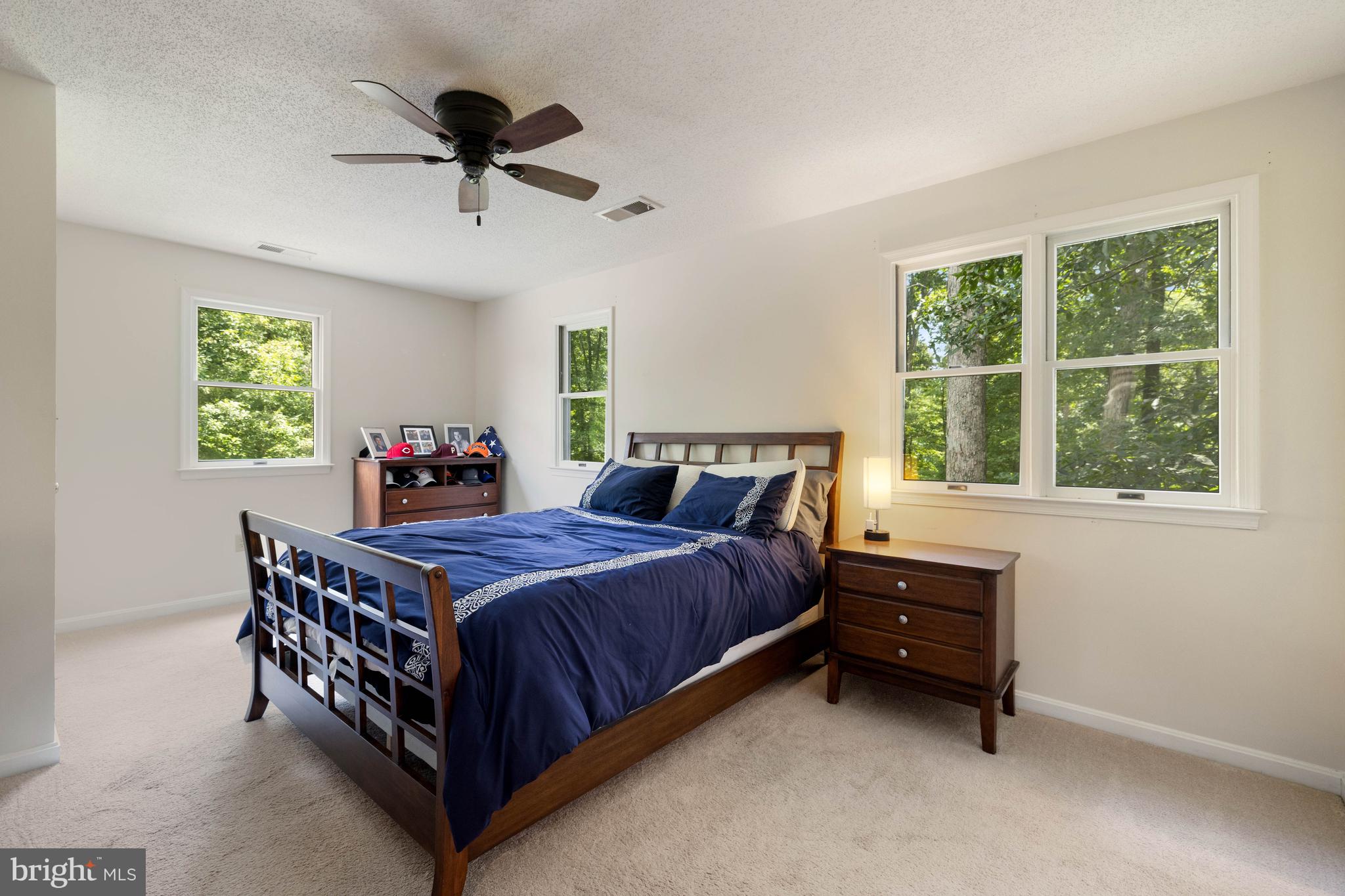 97 Tilthammer Mill Road Boyce, VA 22620 - Photo 40 of 68 a bed room with a bed and a window