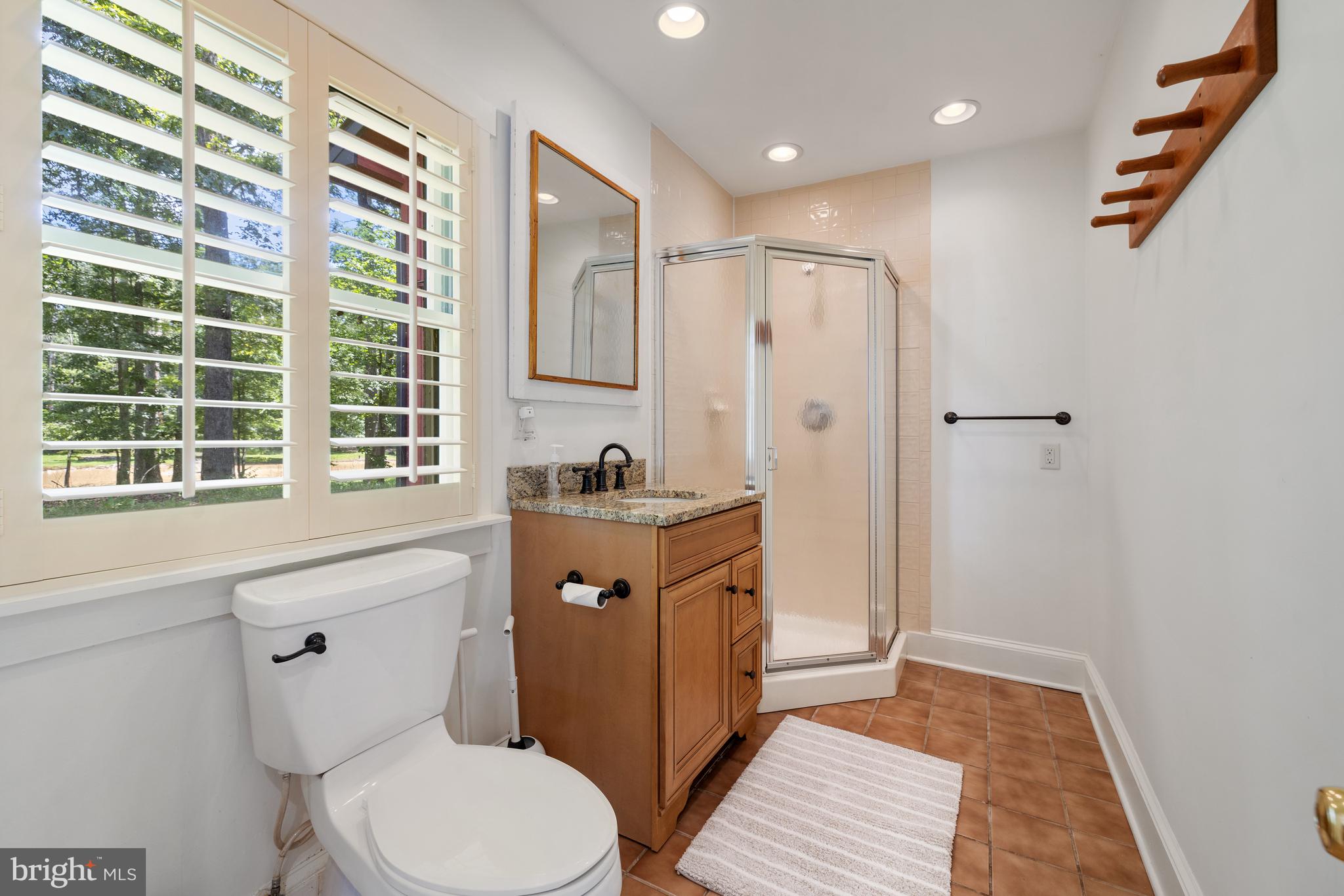 97 Tilthammer Mill Road Boyce, VA 22620 - Photo 52 of 68 a bathroom with a granite countertop toilet a sink a mirror a vanity and a shower