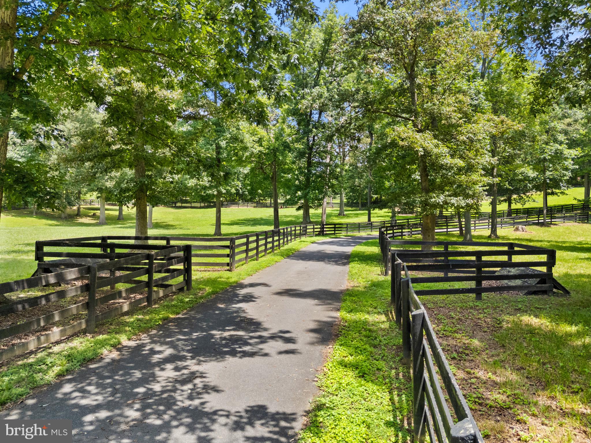 97 Tilthammer Mill Road Boyce, VA 22620 - Photo 65 of 68 a view of a park with large trees