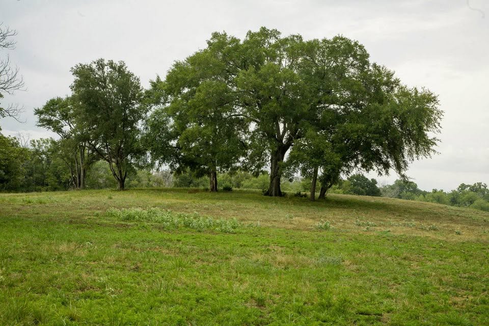 4342 A Dobrovolny Road Bryan, TX 77807 - Photo 5 of 6 Gallery Image 5