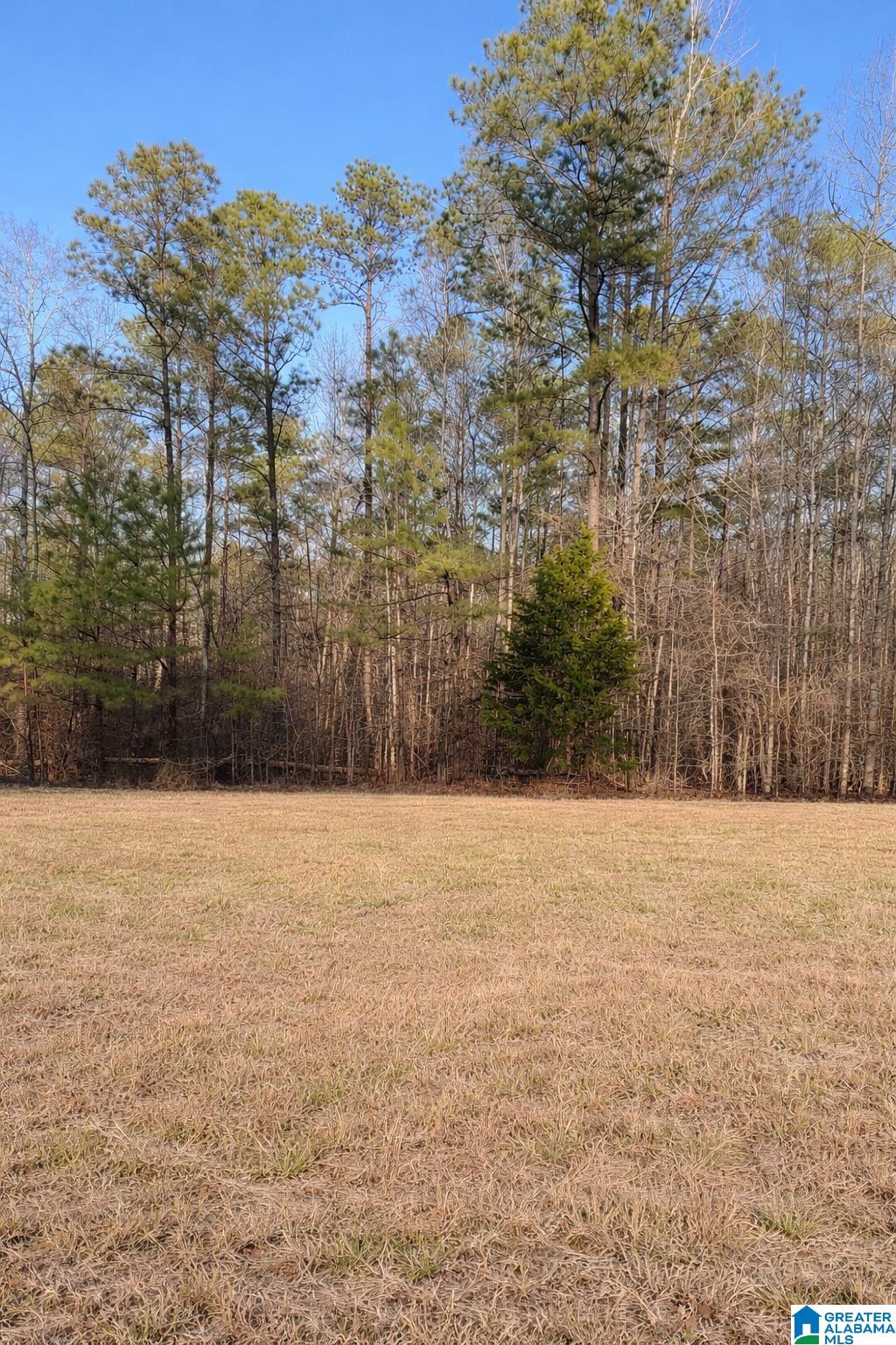Lot 2 County Road 25, Unit 2 Jemison, AL 35085 - Photo 1 of 2