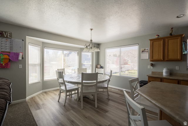 2933 Borah Vernal, UT 84078 - Photo 7 of 34