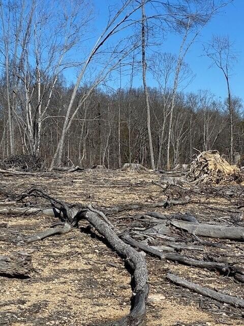 17 River Road Decatur, TN 37322 - Photo 3 of 5