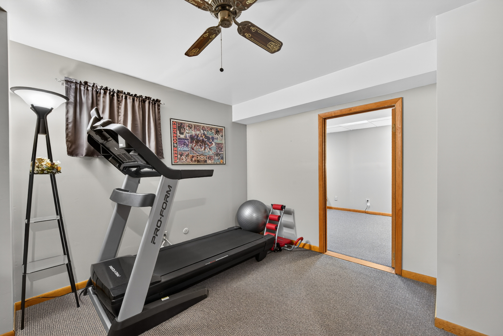 721 Wisconsin Road New Lenox, IL 60451 - Photo 47 of 91 Gallery Image 47