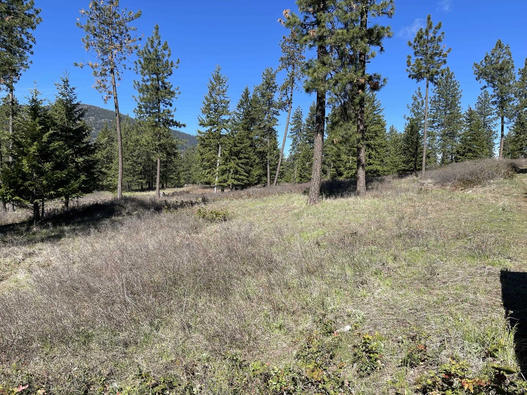 1950 Timber Ridge Way Addy, WA 99101 - Photo 1 of 8