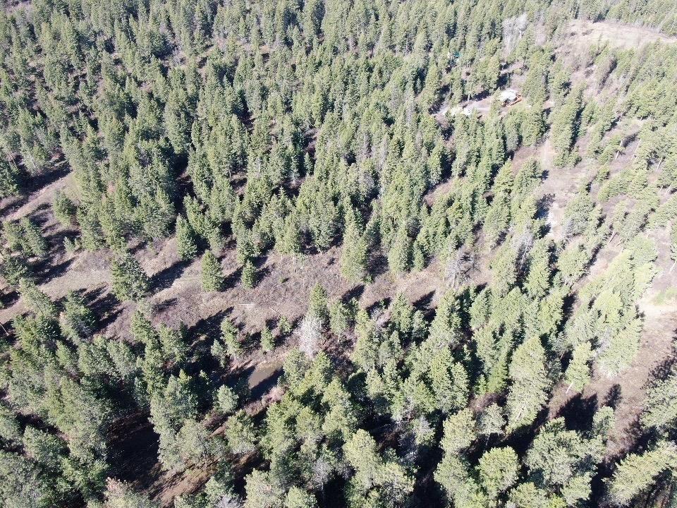1950 Timber Ridge Way Addy, WA 99101 - Photo 4 of 8