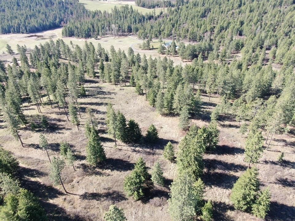1950 Timber Ridge Way Addy, WA 99101 - Photo 8 of 8