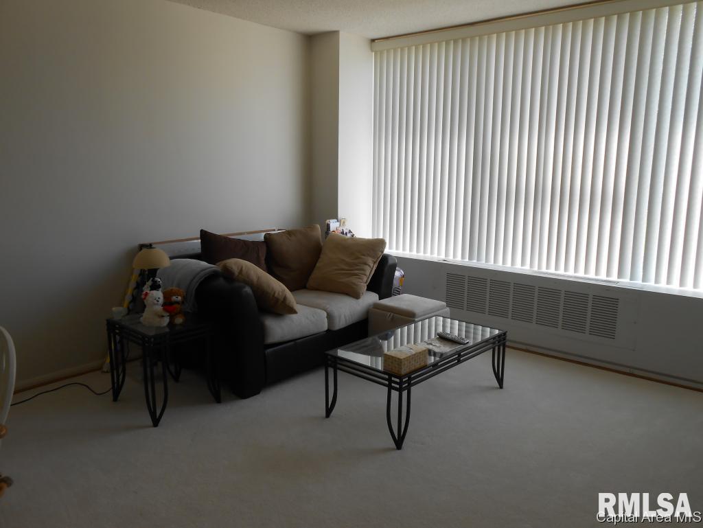 718 South 7th 206 Springfield, IL 62703 - Photo 12 of 20