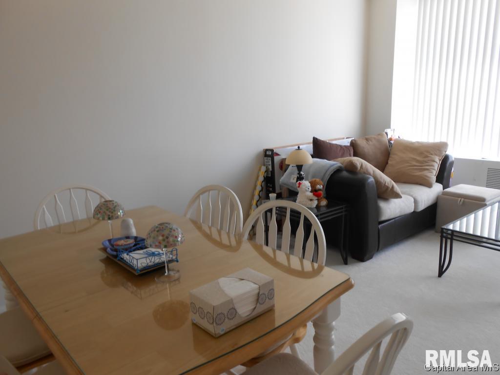 718 South 7th 206 Springfield, IL 62703 - Photo 13 of 20