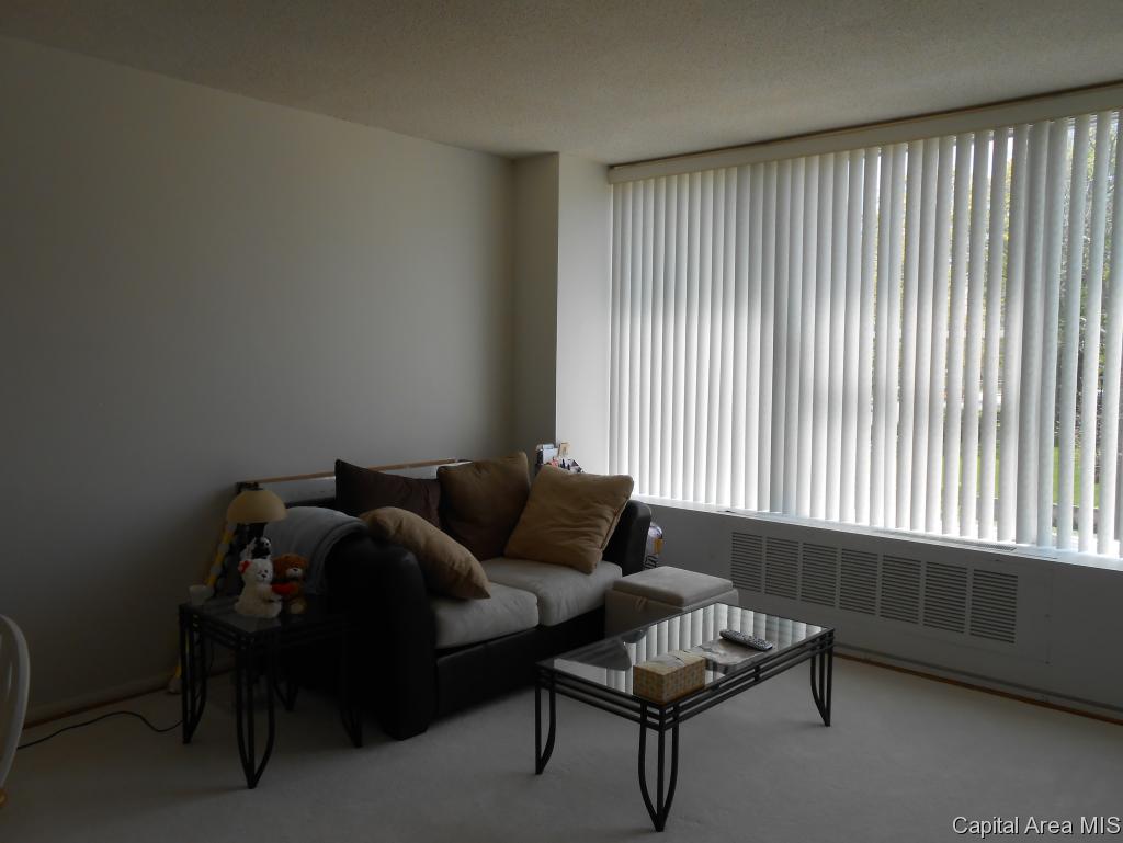 718 South 7th 206 Springfield, IL 62703 - Photo 15 of 20