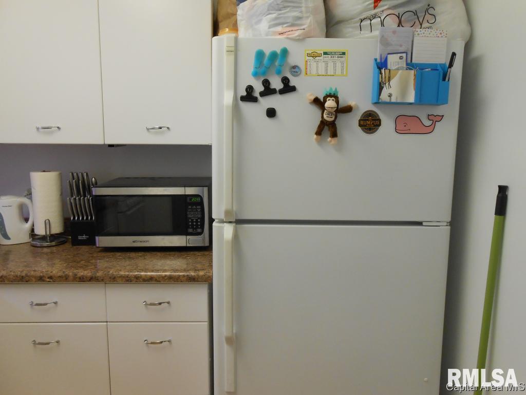 718 South 7th 206 Springfield, IL 62703 - Photo 9 of 20