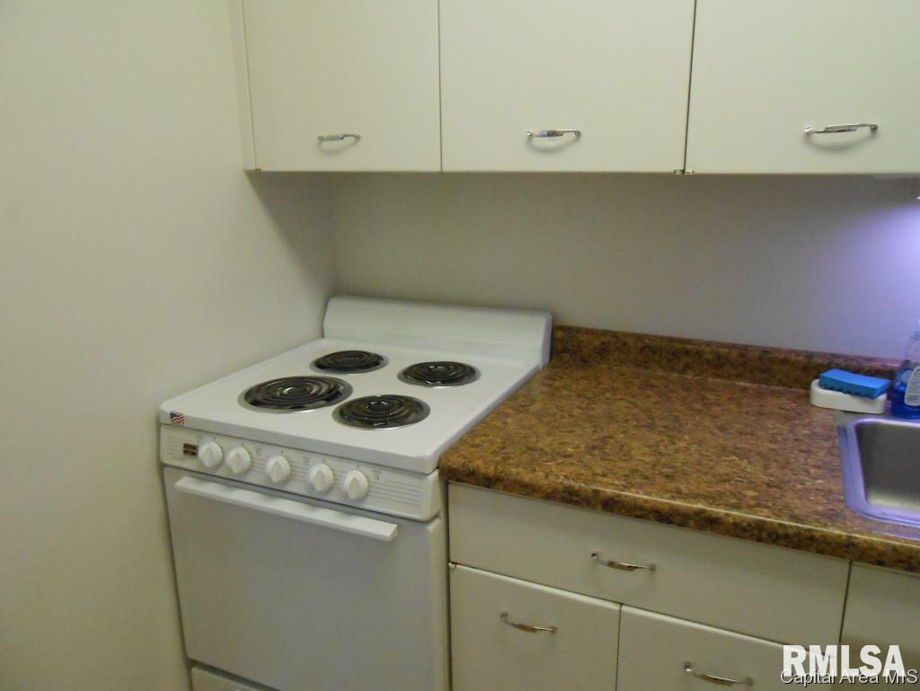 718 South 7th 206 Springfield, IL 62703 - Photo 10 of 20