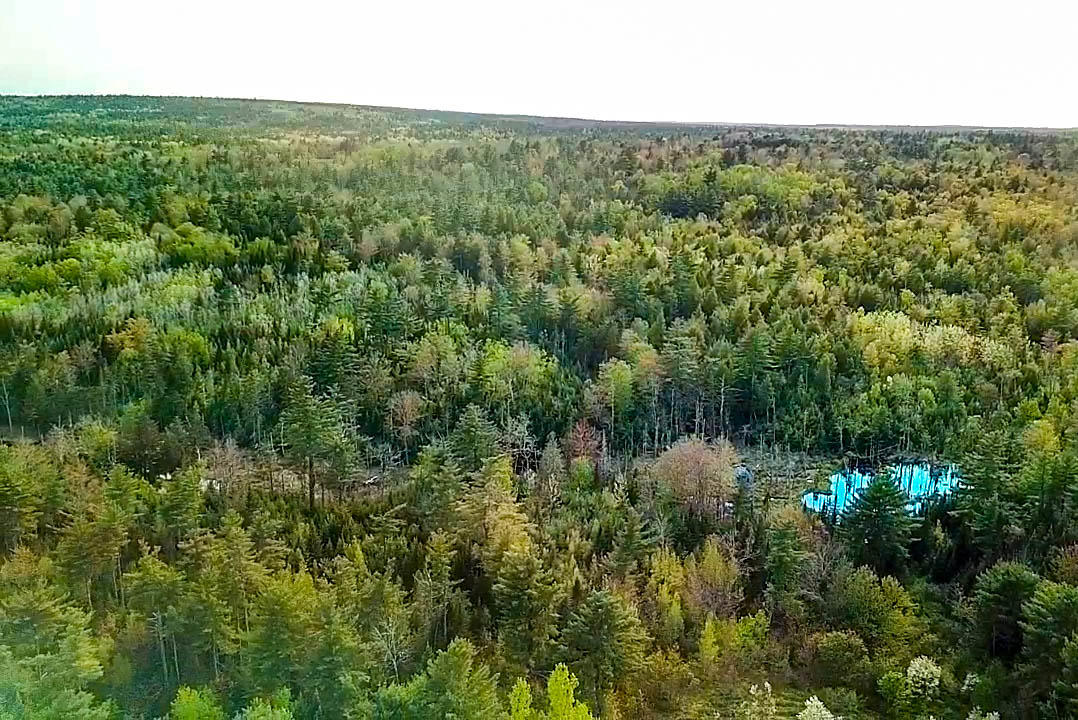 5-8 Boggy Brook Road Ellsworth, ME 04605 - Photo 9 of 28 Wooded Lot