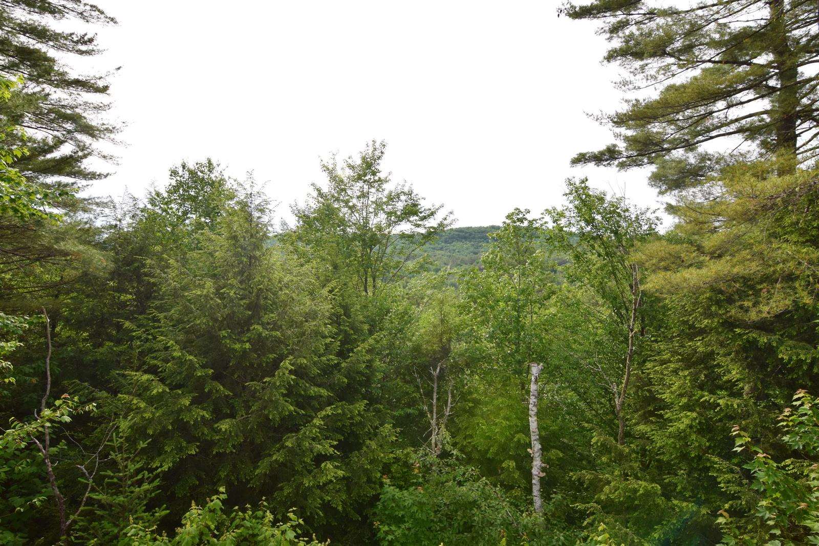 367 Streeter Pond Road Lisbon, NH 03585 - Photo 25 of 30 Gallery Image 25