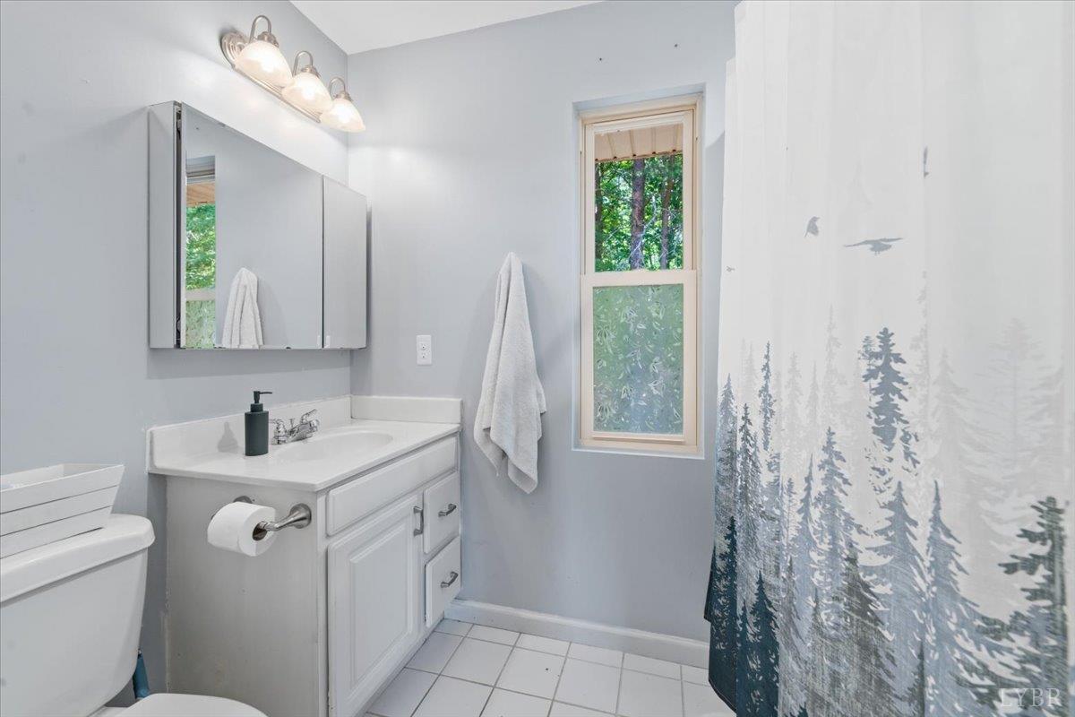 12376 Leesville Road Lynch Station, VA 24571 - Photo 16 of 38