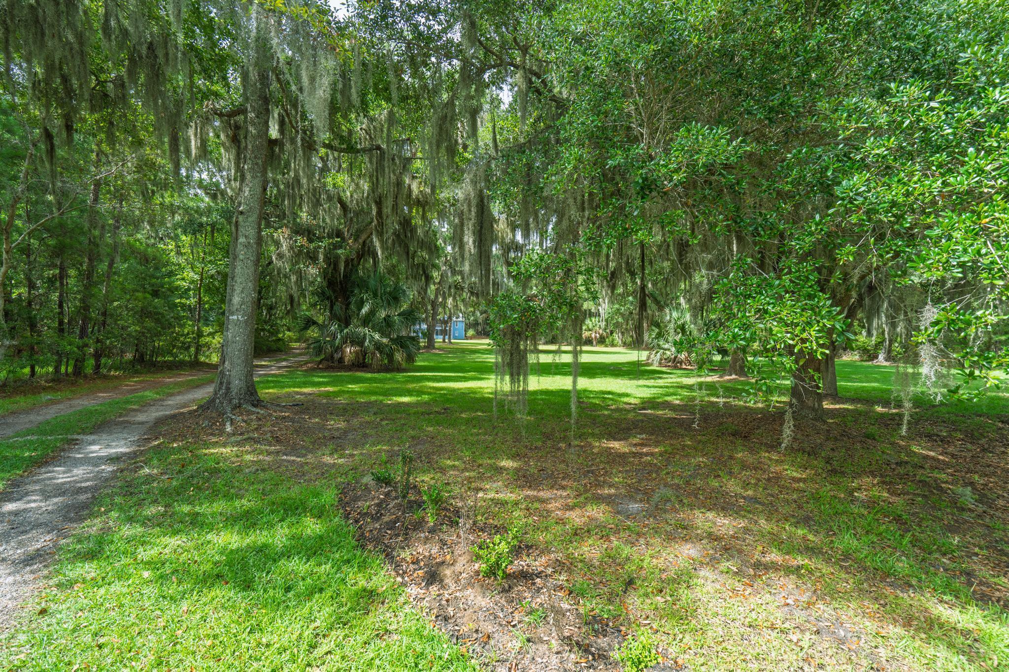 8567 Palmetto Road Edisto Island, SC 29438 - Photo 10 of 44 10_beyc6a5f849c472f5